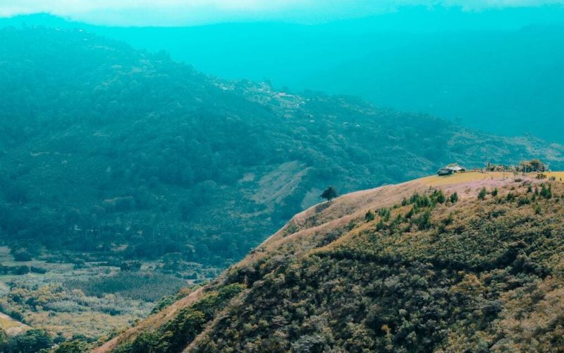 Live the dream: get a residence permit in Panama through Friendly Countries